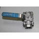 spot